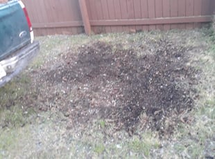 Cleanups by Patrick Kibbe for SHAWNA K. in University Place, WA