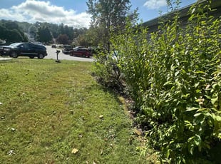 Bush Trimming by John DiFrancesco for Nate W. in Honey Brook, PA