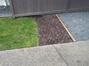 Weeding by Coben Varland for Prithivi T. in Bothell, WA