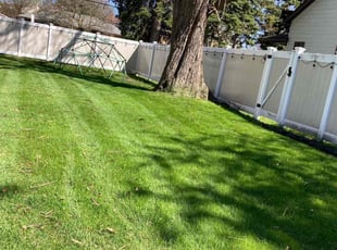 William R.'s Lawn Maintenance service result