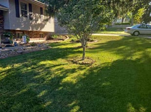 Lisa H.'s Yard Cutting service result