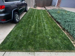 Teresa L.'s Lawn Mowing Service service result