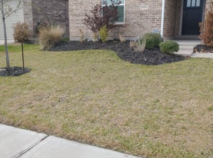 Weeding by Chris Ferrell for Sarah P. in Cypress, TX