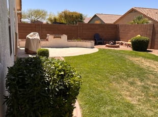 Bush Trimming by Jose Castro for Melissa H. in San Tan Valley, AZ