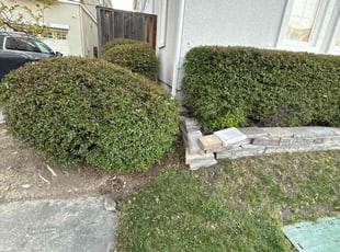 Bush Trimming by Maria Almendra for Atul K. in Dublin, CA