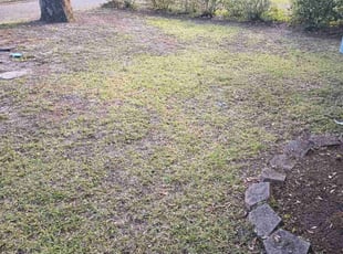 Leaf Removal by Chri Bri for Ryan R. in Milton, FL
