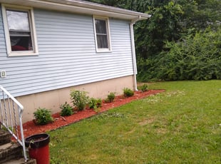 Bush Trimming by Michael Guardino for Jennie L. in West Haven, CT