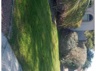 Henrique B.'s Lawn Care service result