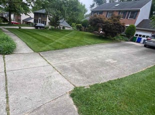John F.'s Lawn Maintenance service result
