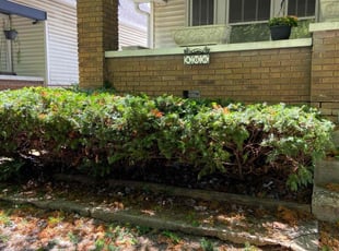 Bush Trimming by Alexander Kauffman for Susan F. in Indianapolis, IN