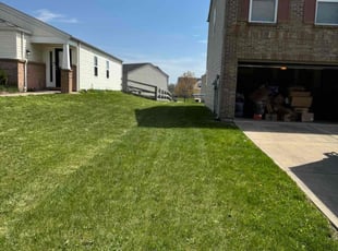 Josh S.'s Lawn Maintenance service result