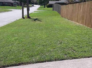 Ramah S.'s Lawn Service service result