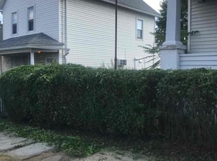 Bush Trimming by Allison Conley for Ellen M. in Scranton, PA