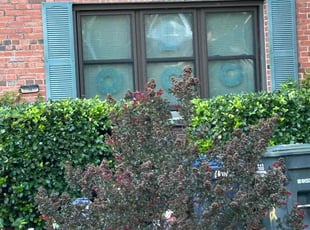 Bush Trimming by Steven Foster for Flora F. in Washington, DC