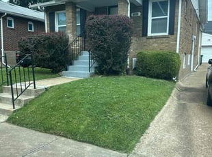 Bush Trimming by Genee Buckner for Phil S. in Brentwood, MO