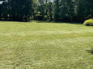 Kevin Q.'s Lawn Care service result