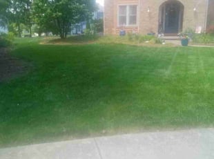 Mary G.'s Lawn Care service result