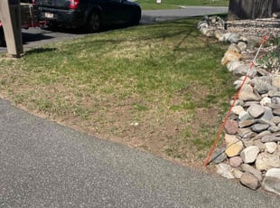 Cleanups by Harry Figueroa for Annette D. in Springfield, MA