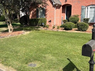 Eva H.'s Lawn Mowing service result