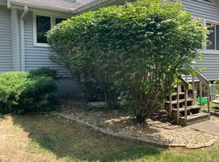 Bush Trimming by Justin Hillock for Austin Grey L. in Urbandale, IA