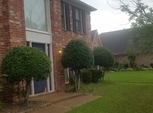 Bush Trimming by Ashley McCarty for Atori H. in Cordova, TN