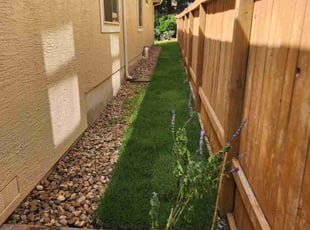 Thomas G.'s Lawn Mowing service result
