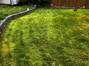 Samantha G.'s Lawn Care service result
