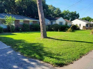 Virginia F.'s Lawn Mowing service result