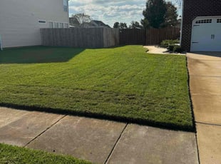 Jason P.'s Lawn Mowing service result