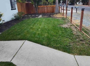 Janice G.'s Lawn Care service result