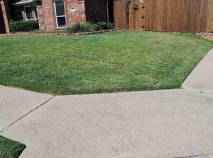 Benjamin V.'s Lawn Service service result