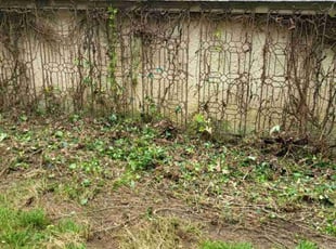 Cleanups by Daniel Meehan for Robert H. in Baltimore, MD