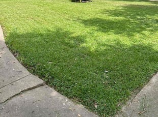 Keena M.'s Lawn Mowing Service service result