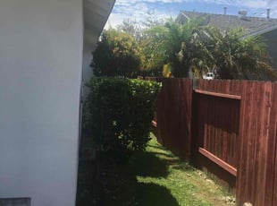 Bush Trimming by Mark Stephens for Joe G. in Torrance, CA
