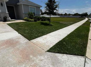 Robert L.'s Lawn Care service result