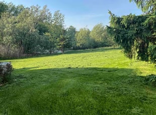 Ann G.'s Lawn Service service result