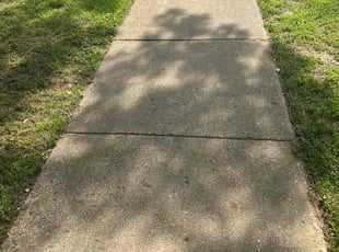 Weeding by Trapper Ellis for Shoshanah W. in Memphis, TN