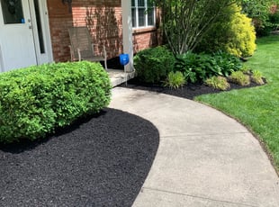Bush Trimming by Rashaan Boyd for Kasey U. in Cincinnati, OH