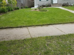 Cleanups by Kyle Anderson for Sara N. in Minneapolis, MN