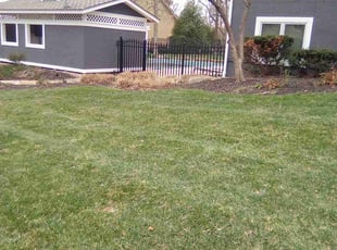 Cleanups by KK Green Grass for Cara K. in Olathe, KS