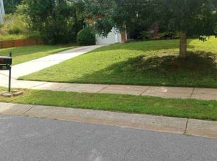 Michael V.'s Lawn Mowing service result