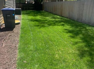 James W.'s Grass Cutting service result