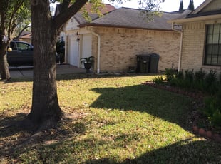Leaf Removal by Jerry Clayton for Ashley C. in Houston, TX