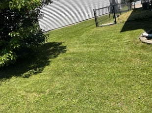 Gary L.'s Lawn Mowing service result