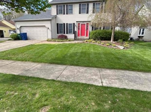 Kristina B.'s Grass Cutting service result