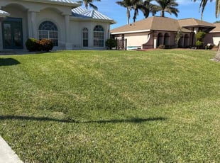 Saben H.'s Lawn Care service result