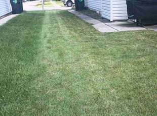 Alvin R.'s Lawn Care service result