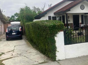 Bush Trimming by George Islas for Joseph T. in Santa Ana, CA