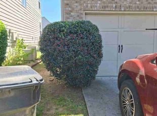 Bush Trimming by Rickey Mccoy for Shavon W. in Lawrenceville, GA