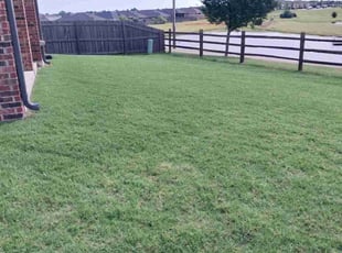 Linda T.'s Yard Cutting service result